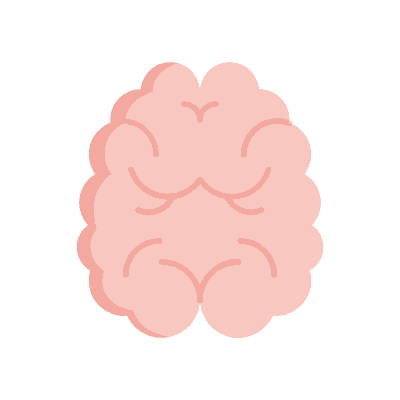 A vector image of a brain