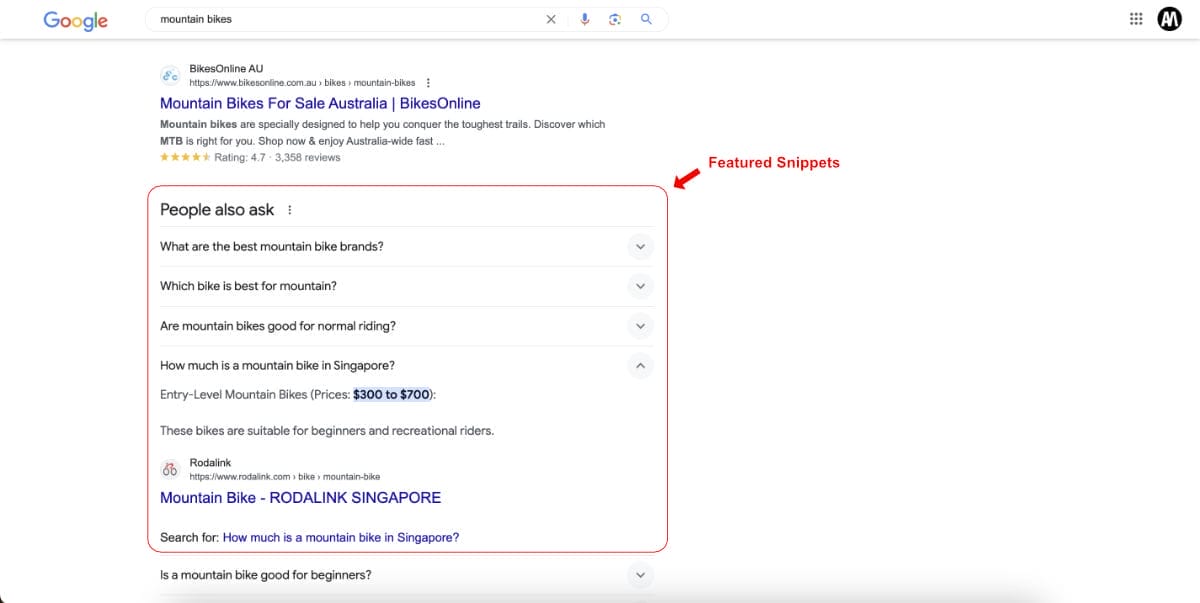 Google search results page for "mountain bikes" with a "People also ask" section highlighted, containing related questions and answers. Featured snippets provide brief, summarized information.