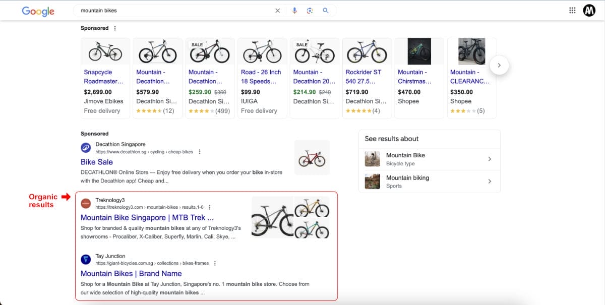 A Google search results page for "mountain bikes" showing how the organic results will be displayed.